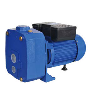 DP Series SELF-PRIMING PUMP