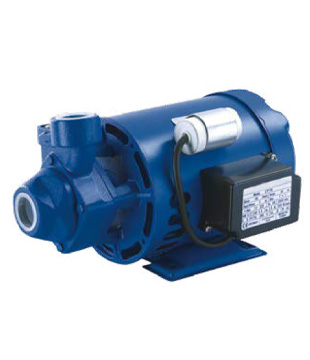 PM16 Series PERIPHERAL PUMPS