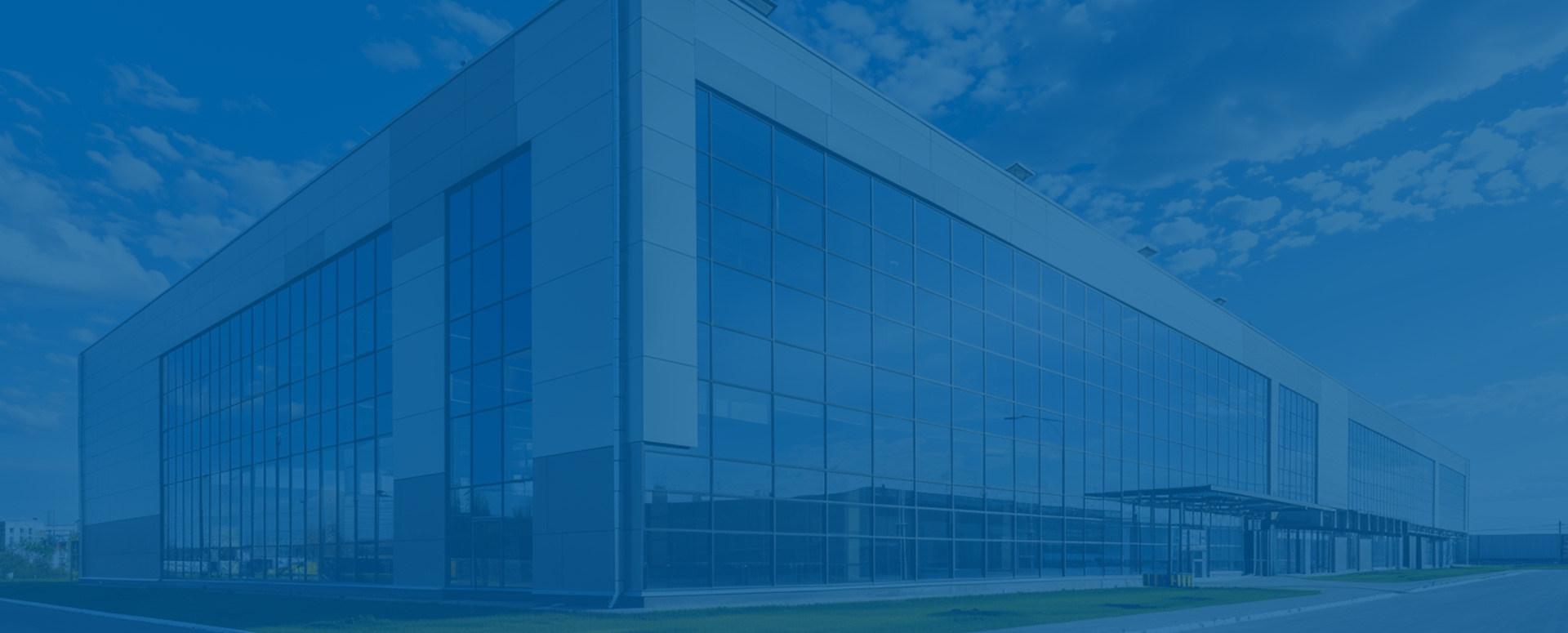 Company profile